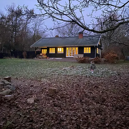 Stylish Summer House On A Beautiful Natural Plot Hundested